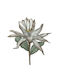 Art Et Lumiere Gray-Brown Flower