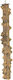 Epigasos Natural Bird Perch Pepper Tree 1.5~2.5*10cm Stainless Supports