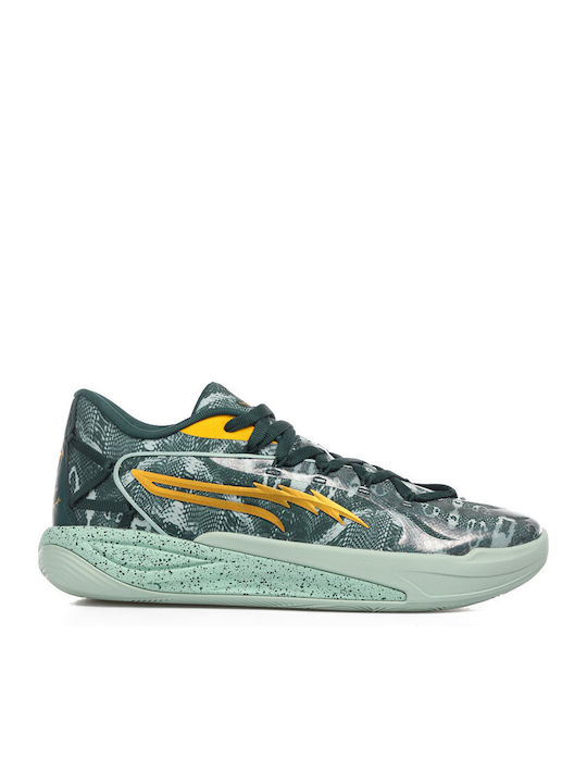 PUMA