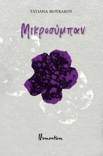 Μικροσύμπαν