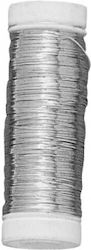 Silber Vergoldeter Draht 0,25mm 100m