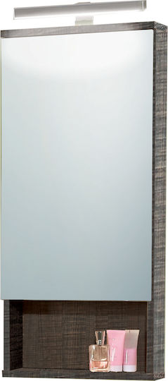 Pro Bagno Oglindă de Baie Lumini LED cu Dulap 42x90cm Gri