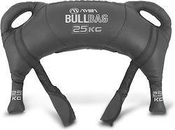 AMILA Hanteln 25kg