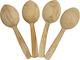 Sultan Simsir Wooden Spoons