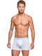 1258021 Men's Boxer White