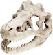 Epigasos Aquarium Decoration Dinosaur 16*10*9cm