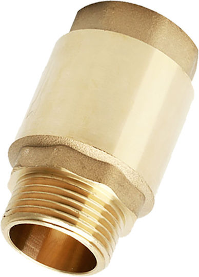 Hydrostab Hydro Spring Check Valve Metal Disc Male Thread 2"