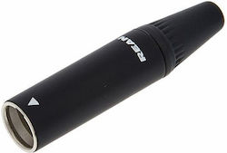 Rean Rt3 Mc-b