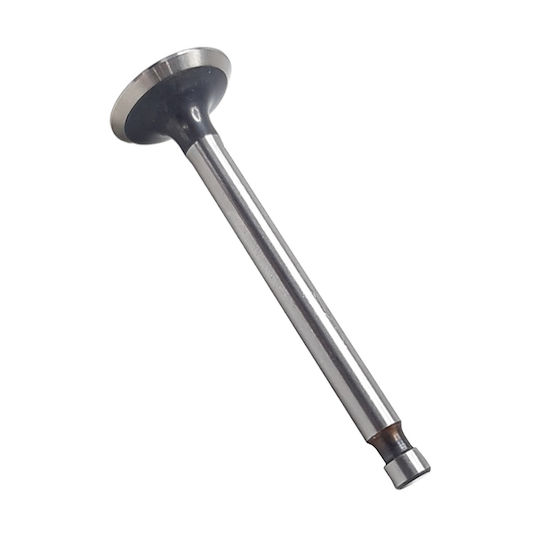TKRJ Motorcycle Exhaust Valve Honda C50 6V