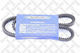 Alternator Belt 10x800 0100800sx-4595