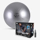 PTP Ball Pilates 75cm in Silber Farbe