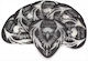 Clayton Lgt Lumiglo Standard Picks Thin Pack 6 Pcs