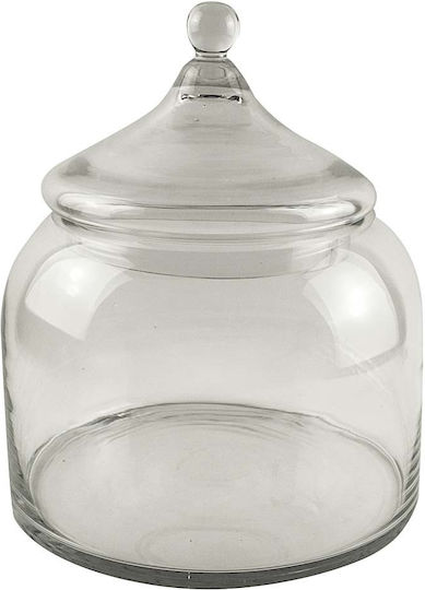 JK Home Decoration Decorative Vase Transparent 25x30cm