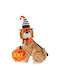 Iliadis Decorative Dog Polyresin 34x19x41cm 1pcs
