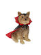 Iliadis Decorative Dog Polyresin Vampire 25x27x36cm 1pcs