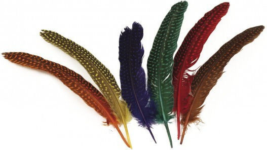 Pompons & Federn Φτερό 17-22 Cm 12 Stück Verschiedene Farben
