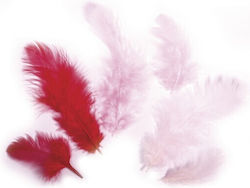 Pompons 3-10 Cm 10g Rote Federn