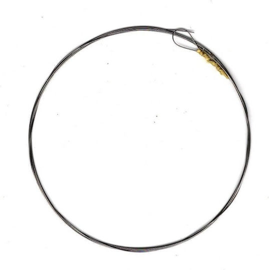 Extra Laouto Класически Единични Струни За Бузуки 10" 2 Брой