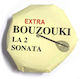 Sonata Șir Single 14" Pentru Bouzouki / Țambură Grecească Extra