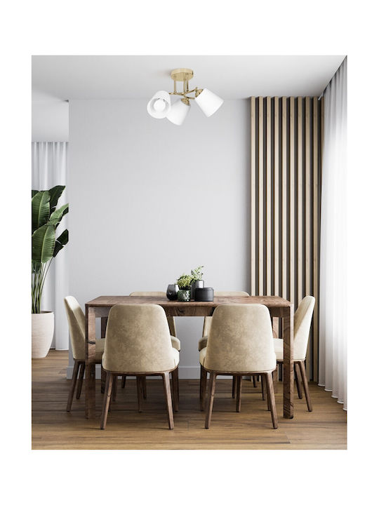Active Jet Pendant Light Gold with Socket E27