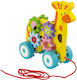 Andreu Toys Συρόμενο Παιχνίδι για 18+ Μηνών