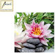 Ambiente Servetele Pentru Petreceri 33x33cm Nuferi