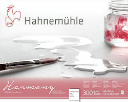 Hahnemuhle Блок Акварел Harmony 12 Фили 40x50см...