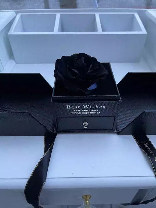 Forever Rose Black Jewelry Case Luxury Box 32cm X 10cm X 11cm