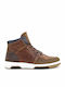 Sneakers Women's Tabac Brown