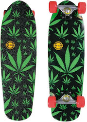 Long Island Longboards 8.25" Complete Longboard Πράσινο
