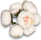 Bouquet Peony Ecru 7 Stück 27x20cm L93 Rin-l93