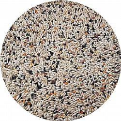 Professional Pro Mix 3.1 Canary Food Type And Color Perilla Without Rouspen 20kg