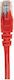 U/UTP Kat.6 Ethernet Netzwerkkabel 0,25m Rotes