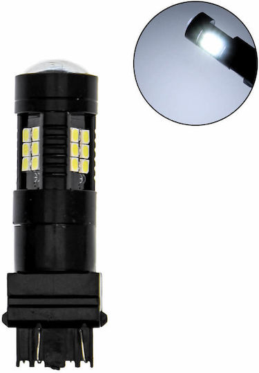 Λάμπα Αυτοκινήτου & Μοτοσυκλέτας T25 LED 6500K Ψυχρό Λευκό 12-24V 5W