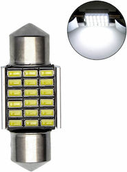 Λάμπα C5W LED Ψυχρό Λευκό Λάμπα C5W LED Ψυχρό Λευκό