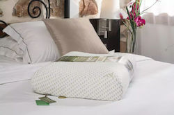 Alpha Foam Advance Aloe Vera Memory Foam Ανατομικό 40x60x12cm