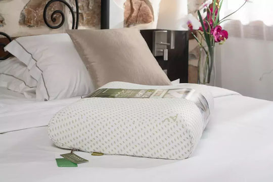 Alpha Foam Advance Aloe Vera Kopfkissen Schlaf Memory-Schaum Anatomisch 40x60x12cm