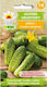 Toraf Seeds Cucumber 5gr