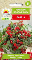 Toraf Vegetable Seeds Bajaja Cherry Tomato 0.3g Package