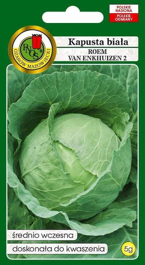 Pnos Gemüsesamen Weißkohl Roem Van Enkhuizen 2 Packung 2g
