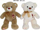 SUN-DAY Plush Bear 30 cm