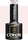 Activeshop Glossy Nagellack Rosa W06
