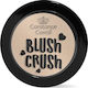 Constance Carroll Crush Blush 39 Cinnamon
