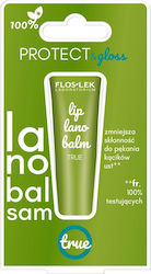 FlosLek Lip Balm 12gr