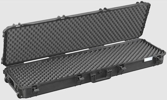 Plastica Panaro Flightcase