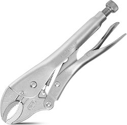 Deli 250mm Length Pliers DL0381