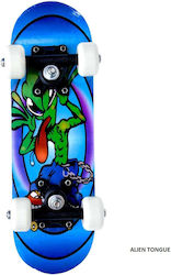 3K Medical Line S.A. Complete Shortboard Blue 3K Medical Line S.A. Complete Shortboard Blue