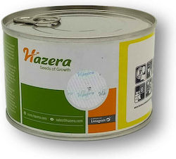 Hazera Σπόροι Κολοκυθιού Ezra
