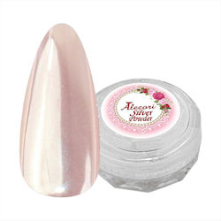 Alezori Powder Nail Silver 3g