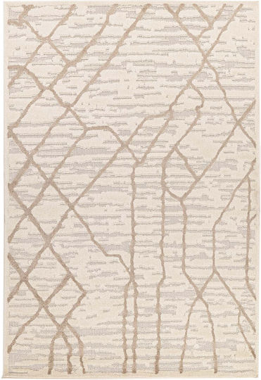 Royal Carpet 11CHI40001